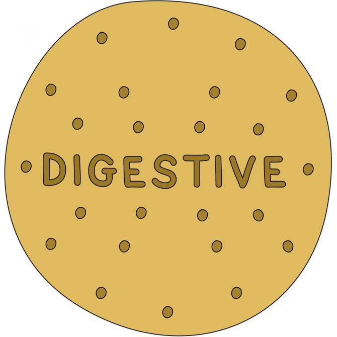 Digestive biscuit