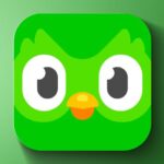 Duolingo owl